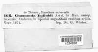 Didymella epilobii image